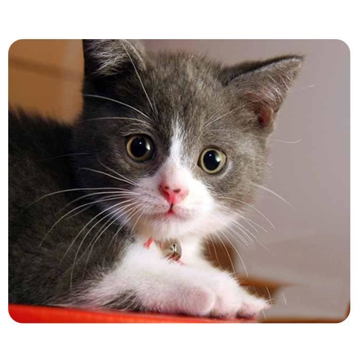 Tapis De Souris Cat 8 Tapis De Souris De Jeu Anti Derapant Pour Photo De Chat Mignon Pour Ordinateur Portable Mackbook Cdiscount Informatique Tapis De Souris Cat 8 Tapis De Souris De Jeu Anti Derapant Pour Photo De Chat Mignon Pour Ordinateur Portable Mackbook Cdiscount Informatique