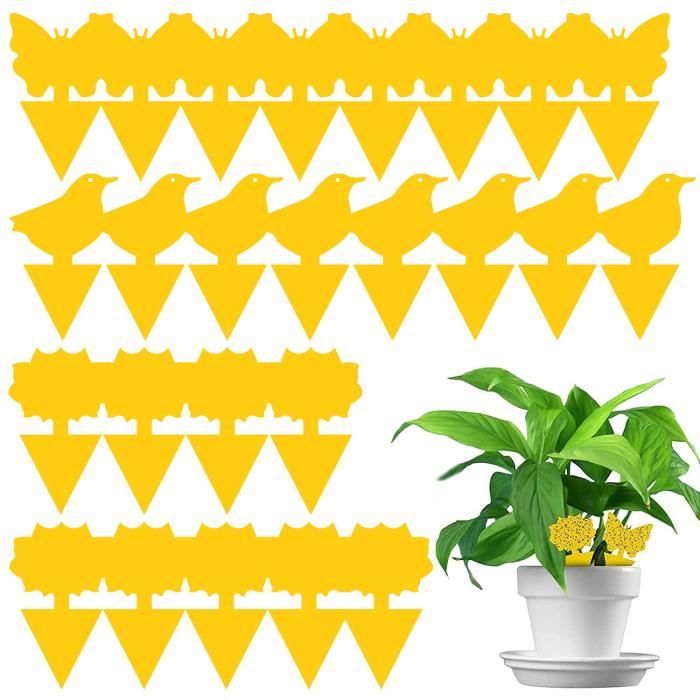 Pièges à Moucherons Jaunes - 60 Stickers Autocollants Pour Protéger Vos Plantes D'intérieur Et Extérieur