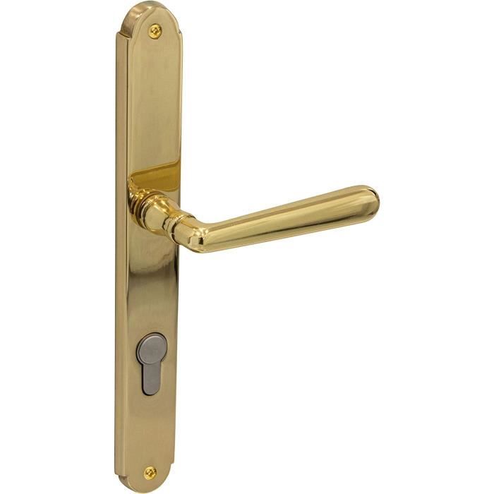 Poignée De Porte à Longue Plaque En Laiton Poli 727 Micel