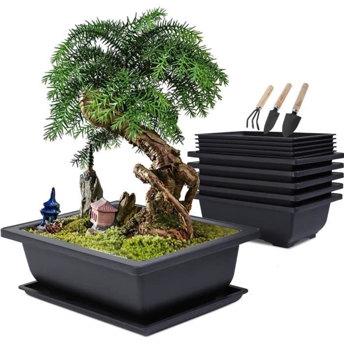MISSFOX Lot de 6 Pot pour Bonsai avec Soucoupe, 23x17x8cm Pots de
