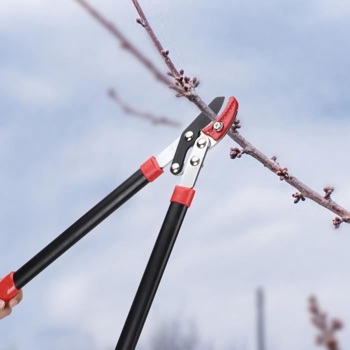 Sécateur Ciseaux de Jardin Professionnels Élagage de Jardin Cisailles Ciseaux Fleurs Branches d