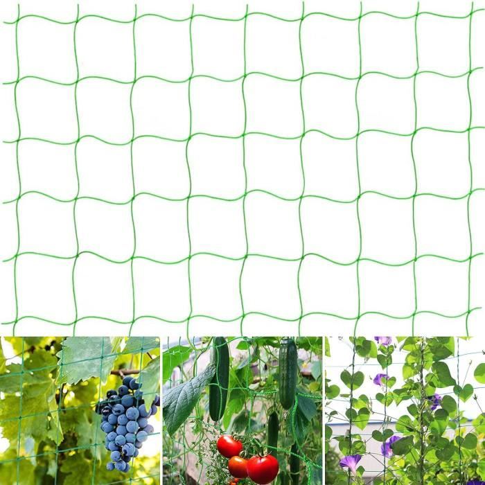 TREILLIS POUR PLANTES grimpantes en Pot, treillis pour plantes de