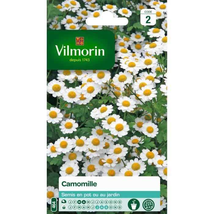 Camomille - VILMORIN - Plante potagère - Mars - Avril - Soleil - Aromatique