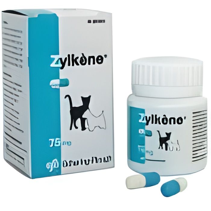 Complément alimentaire Vetoquinol Zylkene pour chien de taille moyenne - Boîte de 30 gélules Complément alimentaire Vetoquinol Zylkene pour chien de taille moyenne - Boîte de 30 gélules