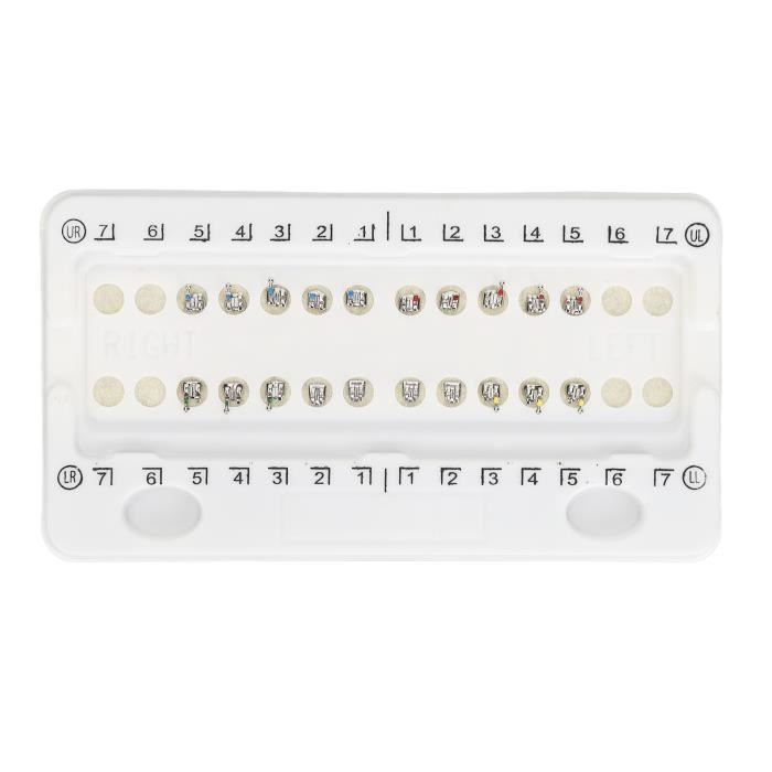 Shipenophy supports Roth Supports de dents 200 pouces, 0.018 pièces