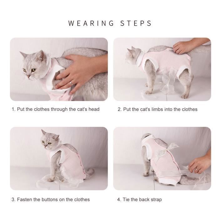 Chaussette pour chat online après opération