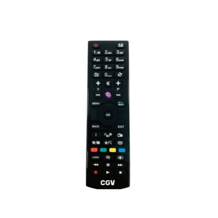 Décodeur Satellite CGV E-Sat HD-W4 Avec Carte FRANSAT Incluse – Réception TNT & Radios HD Par Satellite