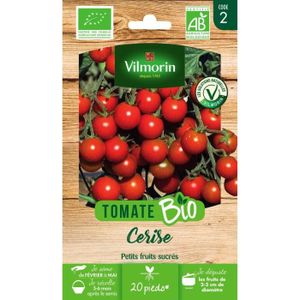 GRAINE - SEMENCE Tomate cerise bio Vilmorin