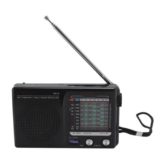 Radio Numérique FM AM SW Worldband, Mini Radio FM Portable sans Fil BT