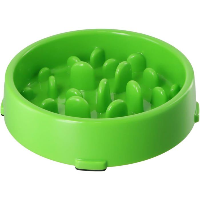 Gamelle anti-glouton chien chat 20x5cm base antidérapante alimentation lente santé petits moyens animaux bol repas