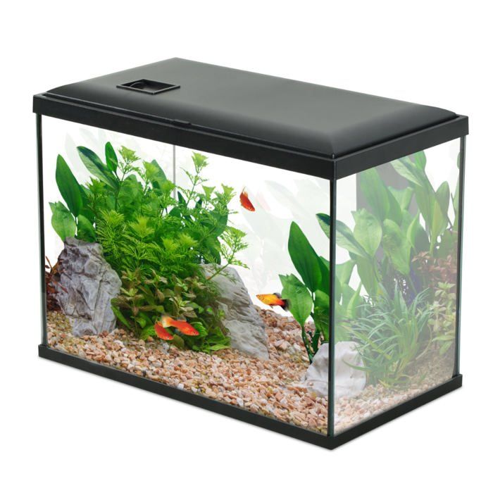 Meilleurs prix pour Aquarium Poisson Initio 40cm Noir - Zolux