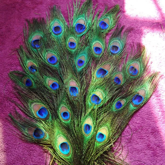 100x réel naturel paon queue yeux plumes 8-12 In 23-30 cm bouquet À faire soi-même Decor 