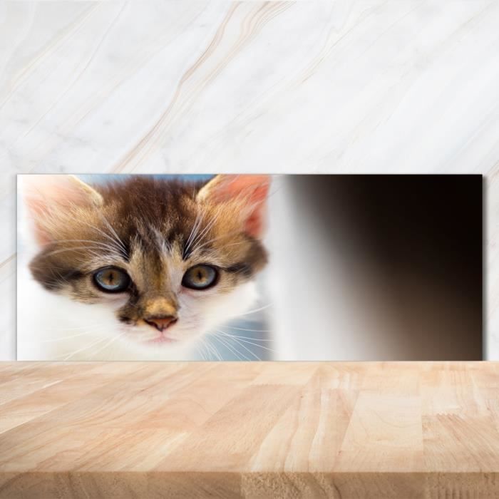Tulup Panneaux De Cuisine Sur Verre - 125x50cm - Champ De Lavande