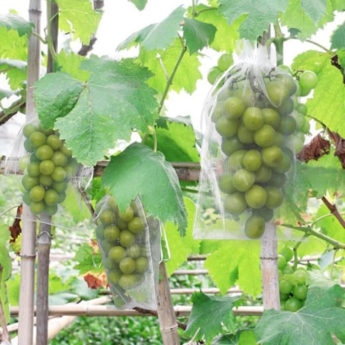 Sacs De Protection Pour Raisins – Lot De 50, 20x30 Cm, Organza – Avec Cordon De Serrage – Anti-oiseaux Et Insectes
