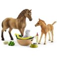 Figurine Schleich - Les soins pour bébé animaux d'Horse Club Sarah - Jouet pour enfant-1