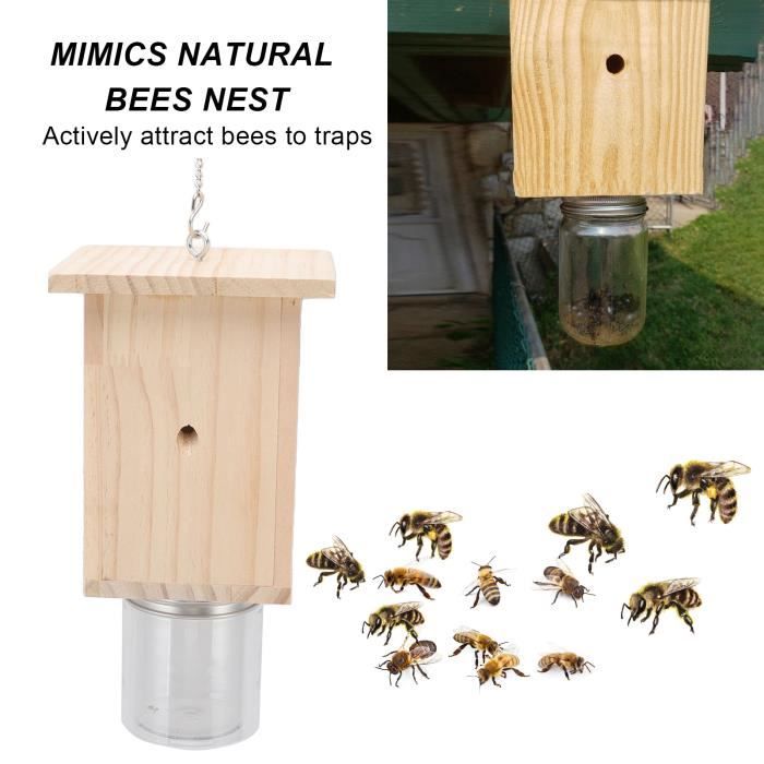 Mxzzand Piège à abeilles charpentières Piège à abeilles charpentier, piège à guêpes en bois avec ...