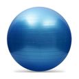 Yoga Fitness ballon d'exercice Équilibre Force Gymnastic 55cm + POMPE    WR997-0