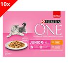 PURINA ONE Chat Junior - de 1 à 12 mois - Effilés en Sauce au Saumon ou au Poulet - 8x85g - Sachet frâcheur pour chaton (Lot de 10)