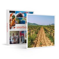 Smartbox - Visite du vignoble de la Bastide des oliviers et de sa cave avec dégustation pour 2 - Coffret Cadeau - 