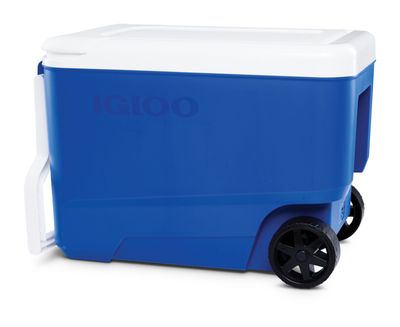 VEVOR Glacière Portable 61,5 L 60-65 Canettes Glacière Rigide Isotherme