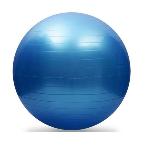 Yoga Fitness ballon d'exercice Équilibre Force Gymnastic 55cm + POMPE    WR997
