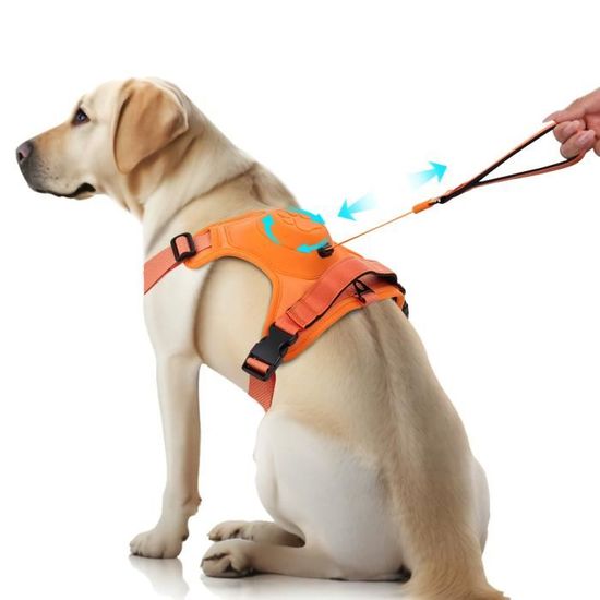 Z-C Harnais pour chien anti-traction respirant et facile à porter