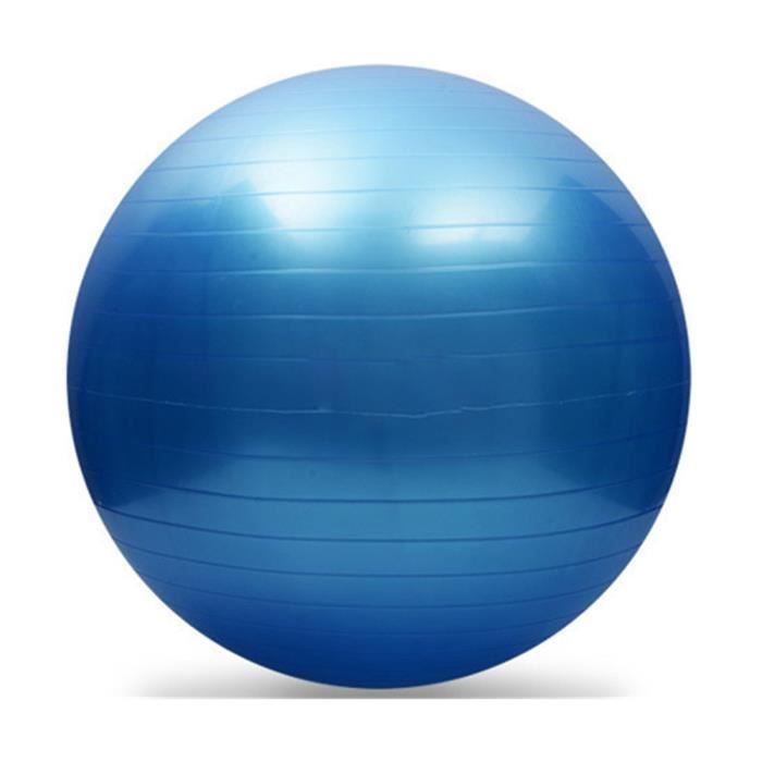 Yoga Fitness ballon d'exercice Équilibre Force Gymnastic 55cm + POMPE WR997