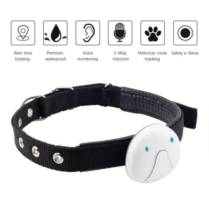 Letouch Mini GPS Traqueur Chien-Chat Collier -Étanche Localisateur vocale bidirectionnelle- Temps Réél Suivi-Pistage