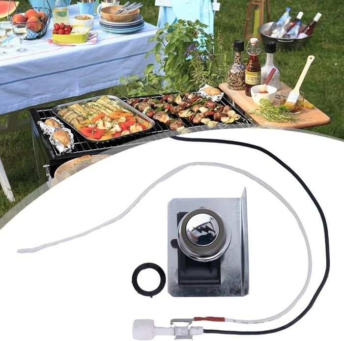 SPORTARC Zündset Für Weber Genesis 300 Serie – Passend Für E310, E320, EP310 (Side-Control)