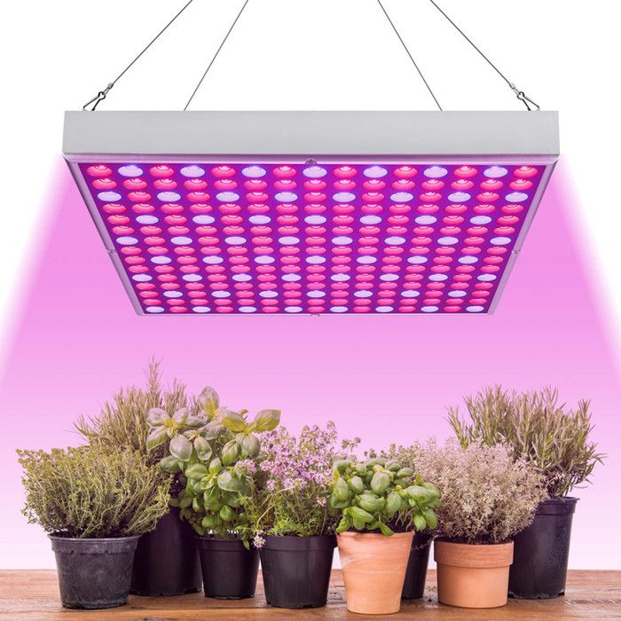 Lampe De Croissance LED 35W Spectre Complet - Éclairage Plantes Intérieur, Semis Et Légumes