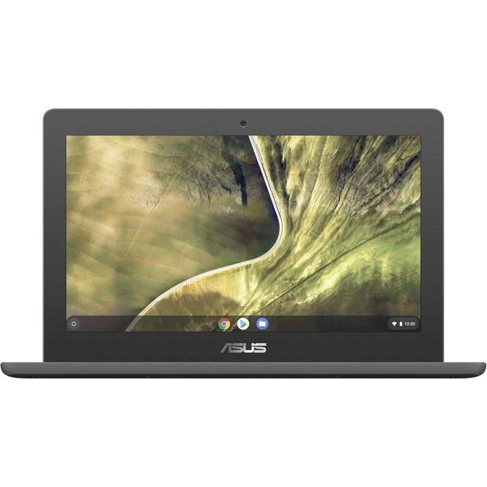 Ordinateur Portable ASUS C204MA GJ0342 11.6'' HD Celeron N4020 4 Go RAM EMMC
