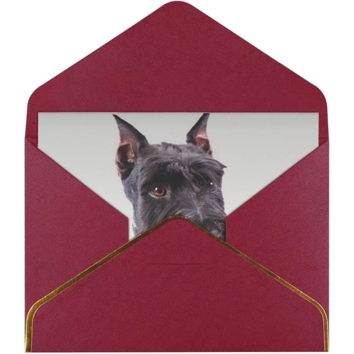 Carte De Vœux En Forme De Chien Schnauzer, 11,4 X 15,2 Cm Pour Toutes