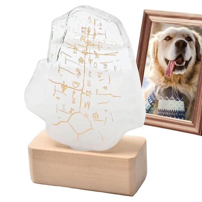 Bouteille en verre tempête | Prédicteur météo Oracle Storm Glass