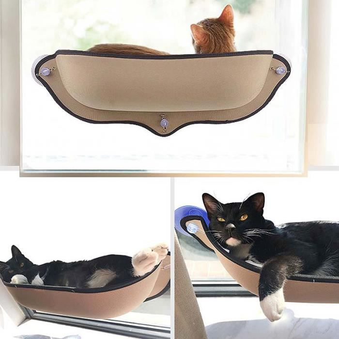 Lit Couchage Hamac Support Ventouse Fenetre Pour Chat Animal De Companie Cdiscount