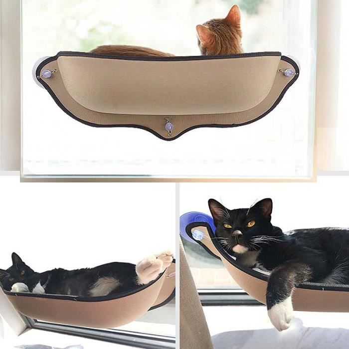 Lit Couchage Hamac Support Ventouse Fenêtre Pour Chat Animal De Companie -  Cdiscount