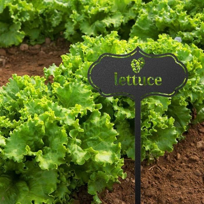 Lot 30 Crochets Étiquettes Plantes Acier Inoxydable - Marqueurs Jardin Antirouille 20cm
