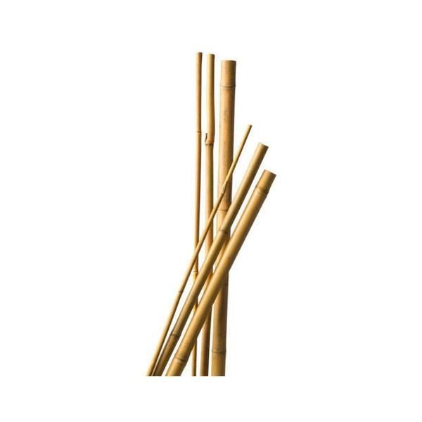 Lot de 12 Tuteurs Bambou 150 cm diam 6-8 mm