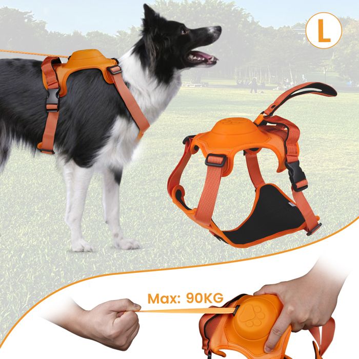 Meilleurs prix pour Harnais Chien/Laisse Chien Anti Traction Rétractable L ®WHD© 2 en 1 Facile à Mettre + Poignée/Colliers pour Chien Moyen Grand