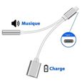 Double Adaptateur cable diviseur Type C prise jack 3.5mm chargeur USB-C Argent pour iPhone 15 Pro Max 6.7" - Yuan Yuan-1