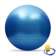Yoga Fitness ballon d'exercice Équilibre Force Gymnastic 55cm + POMPE    WR997-1