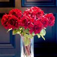 100Pcs Graines de rose-ROUGE-Sans OGM - facile à cultiver - fleurs parfumées - pour balcons, terrasses, jardins-1
