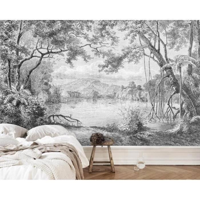 Papier Peint Panoramique 3D Paysage Noir Et Blanc Papier Peint 3D ...
