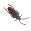 Scarica Gratis Images 20 Pcs Cockroachs En Plastique Farce Blague Droles Gadgets actualisé salutations