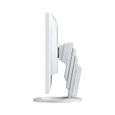 FlexScan EV2485-WT, moniteur LED 61,1 cm(24'), blanc, WUXGA, USB-C, HDMI-0