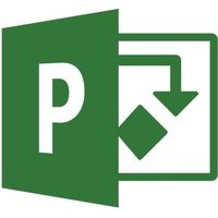 Microsoft Project Professional 2019 Licence 1 PC téléchargement ESD Click-to-Run Win All Languages zone euro