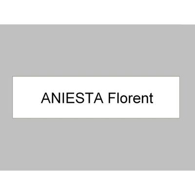 Plaque De Boîte Aux Lettres 10x2.5 Cm – 2 Lignes, 15 Couleurs, Biseautée, Made In France