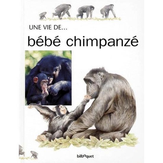 Bebe Chimpanze Cdiscount Librairie