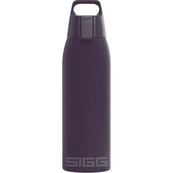 SIGG - Gourde Enfant En Acier Inoxydable - Shield One Great Day - Pour l'École et le Sport - Convient Aux Boissons Gazeuses - Étanche & Légère - Sans BPA - Inox SIGG - Gourde Enfant En Acier Inoxydable - Shield One Great Day - Pour l'École et le Sport - Convient Aux Boissons Gazeuses - Étanche & Légère - Sans BPA - Inox