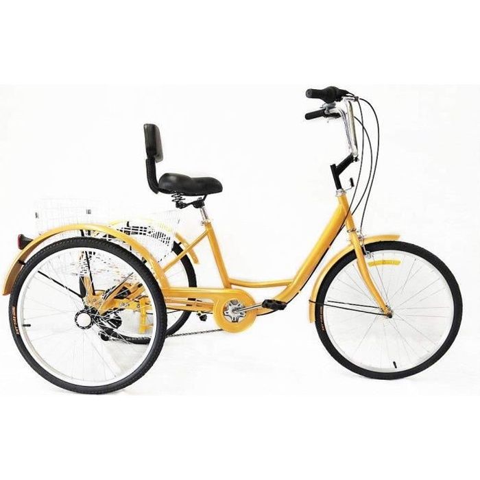 Tricycle Adulte Electrique d’occasion