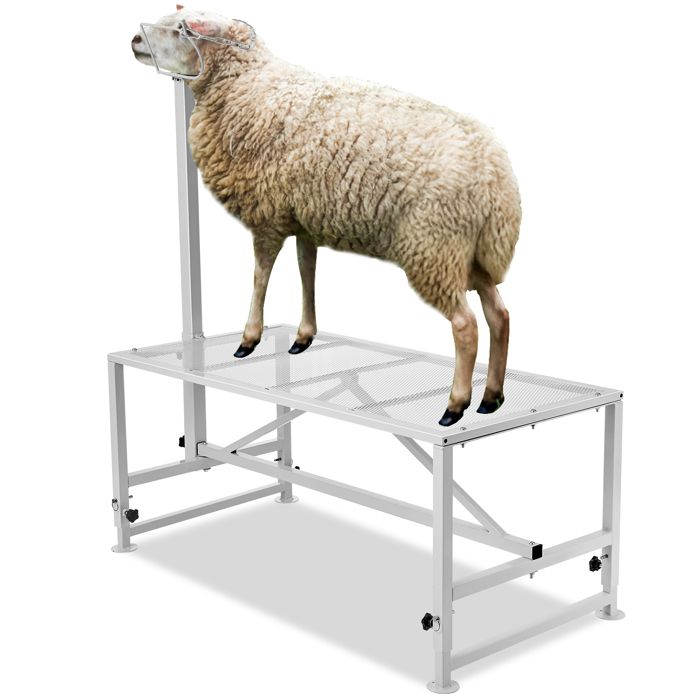 Meilleurs prix pour Plate-forme de Toilettage pour Animaux-VEVOR-1195x584x1740 mm-Support Réglable pour Moutons et Chèvres-Blanc